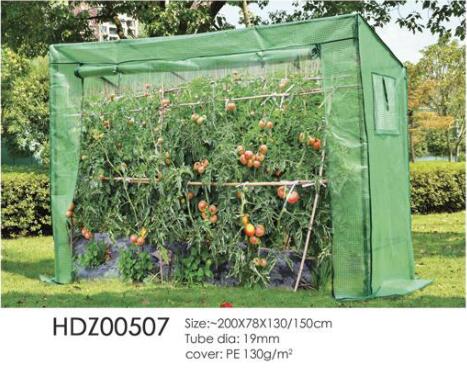 Greenhouse-HDZ00507