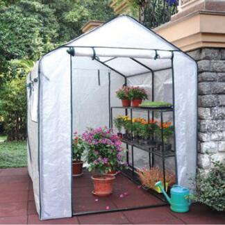 Greenhouse-HDZ02502