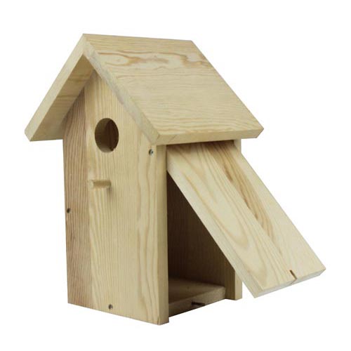 Bird House-105