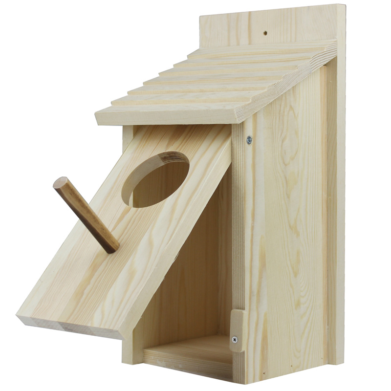 Bird House-118